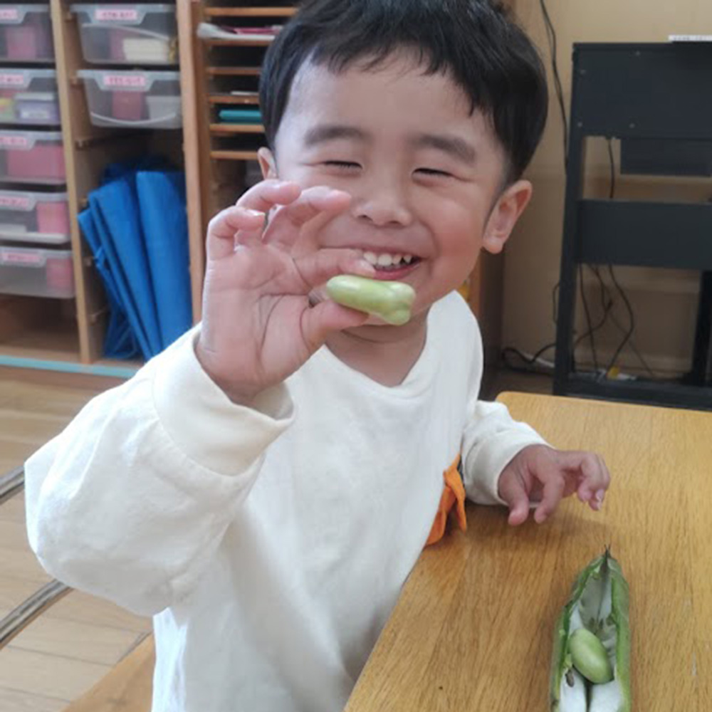 楽しいクッキング そら豆の皮むき1