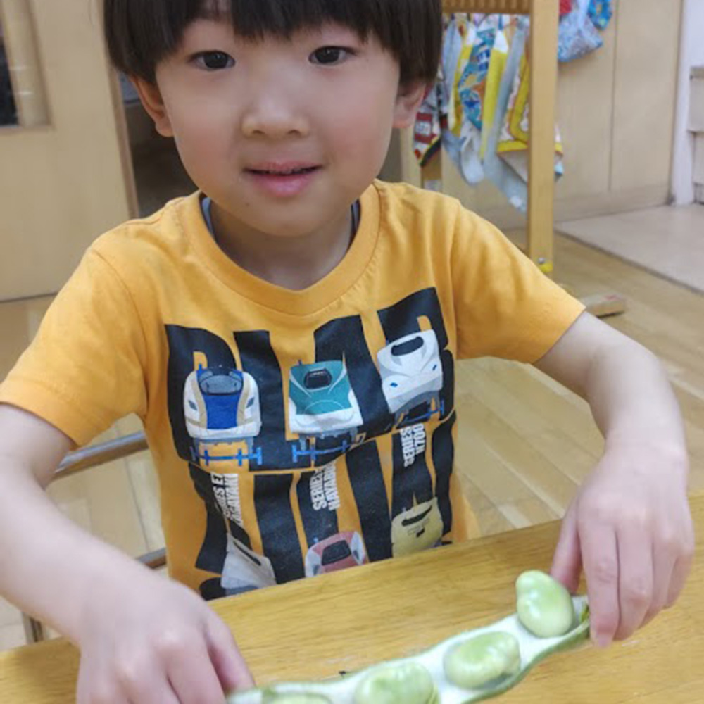 楽しいクッキング そら豆の皮むき2