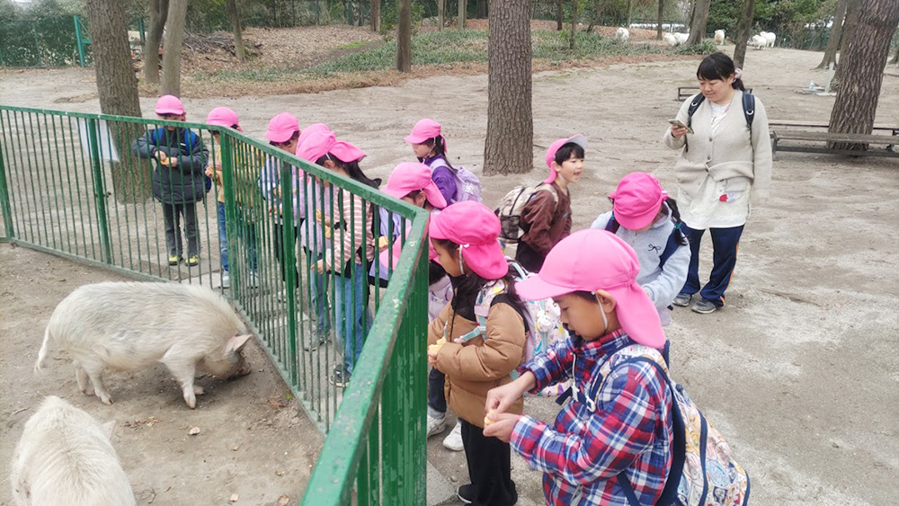 お別れ遠足　動物に餌あげ