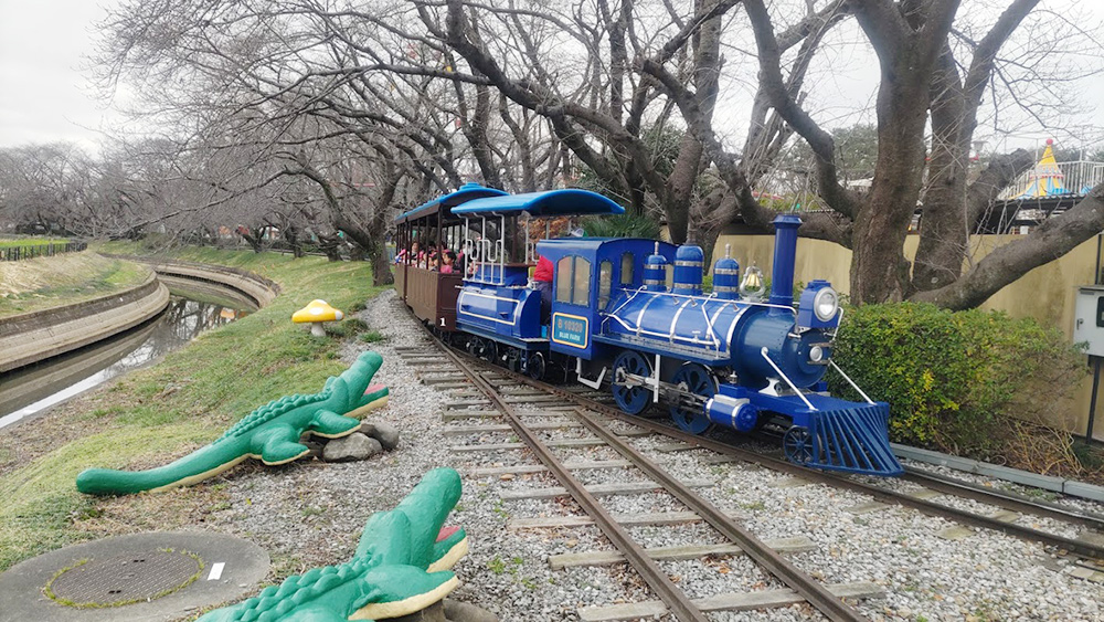 お別れ遠足　むさしの村鉄道に乗ったよ1