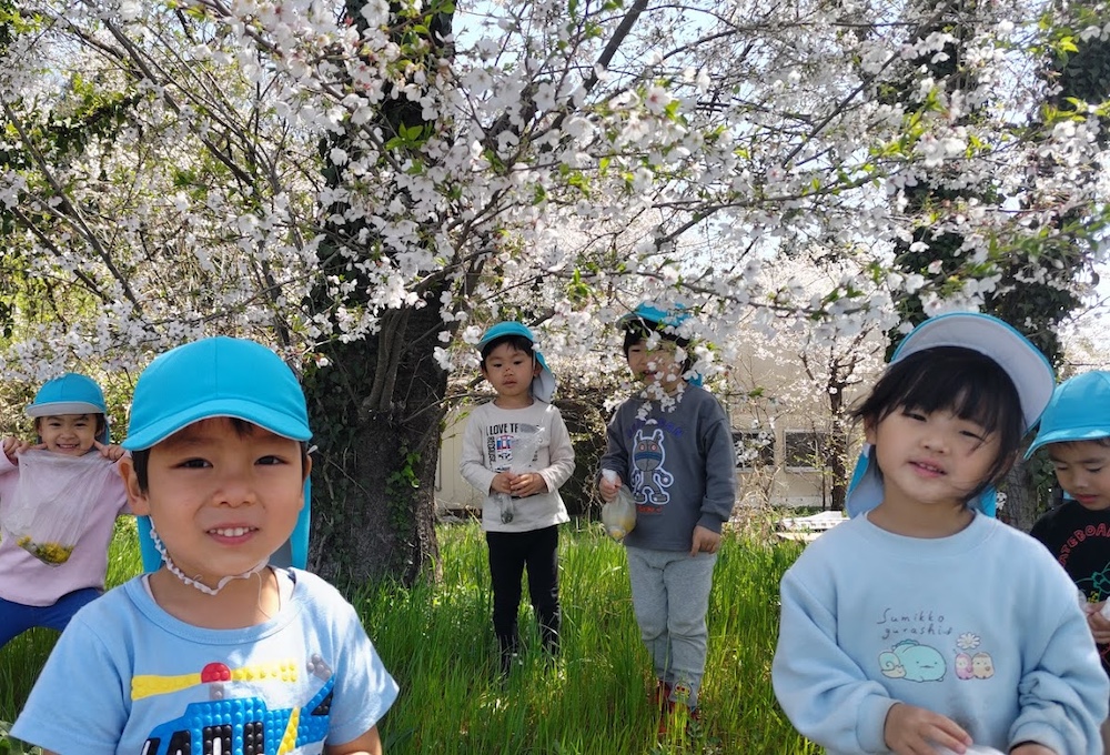 お花見に来たよ