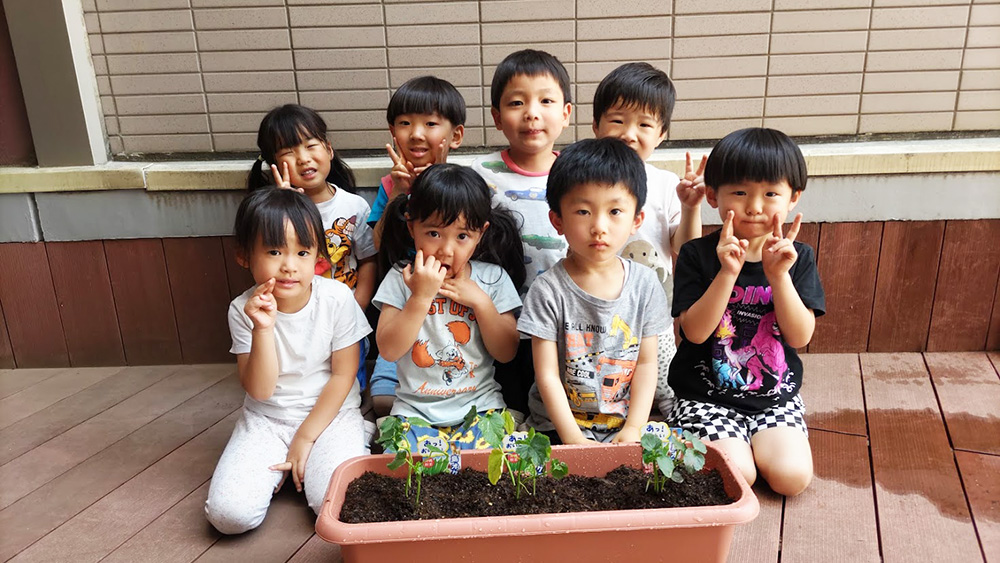 オクラの苗を植えたよ